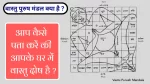 vastu purush